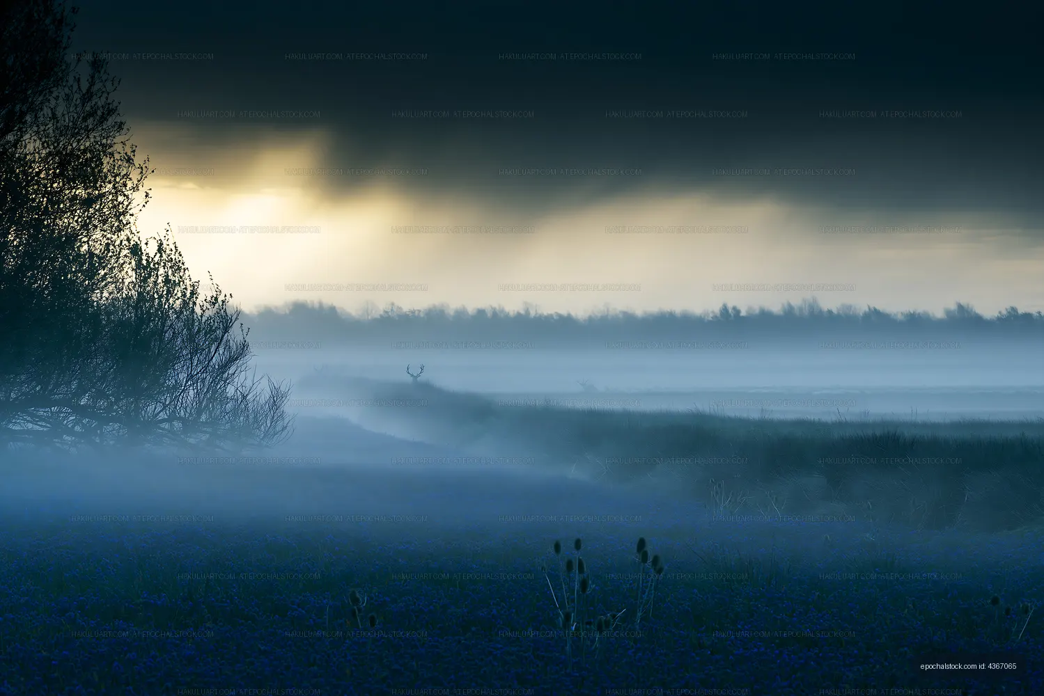 Foggy landscape during dawn with distant deer in silhouette