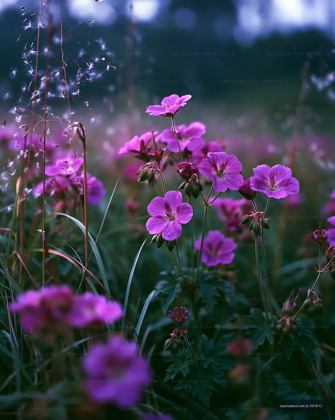 Field of blooming pink flowers under soft sunlight