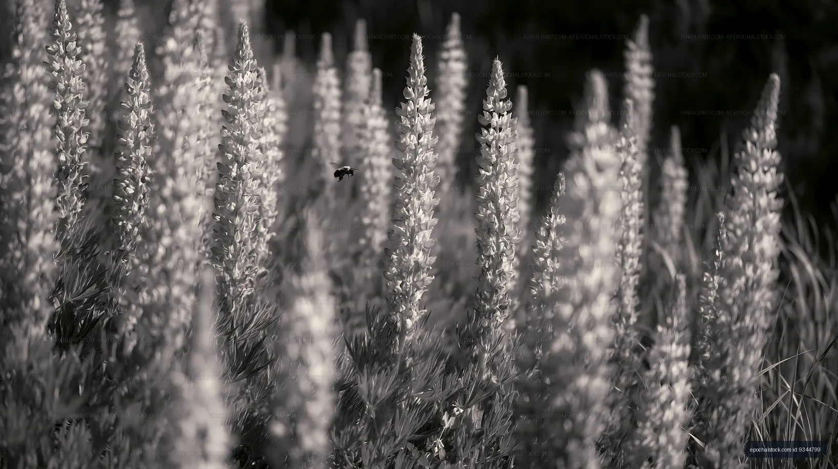 Flowers in a field with a bee during daytime