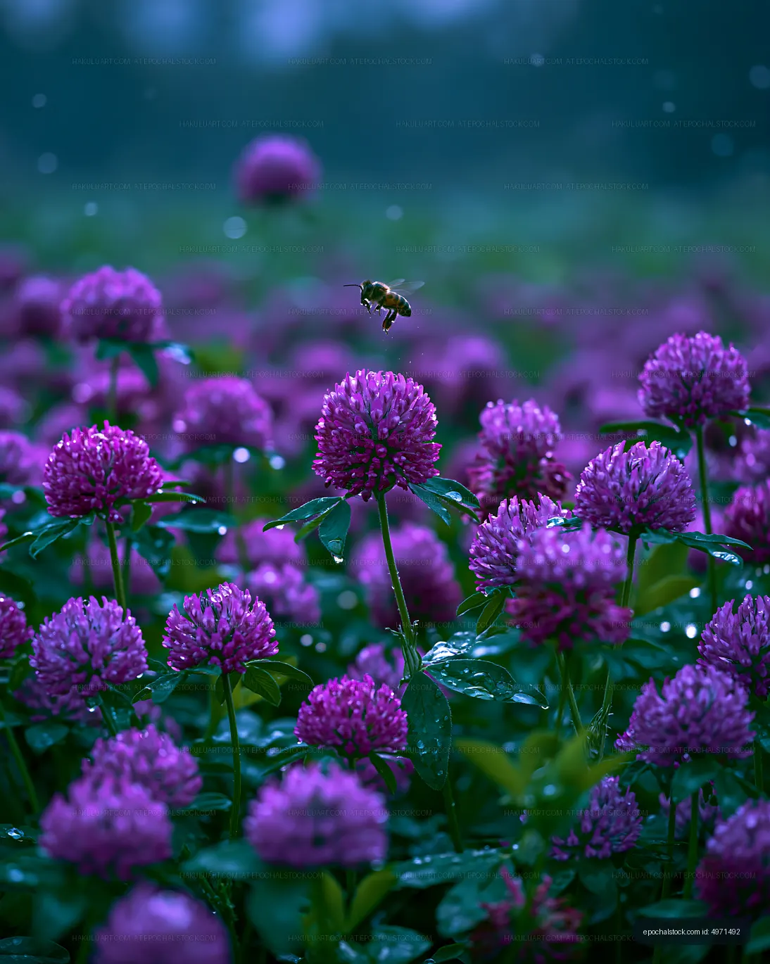 Bee hovering over purple flowers in a garden