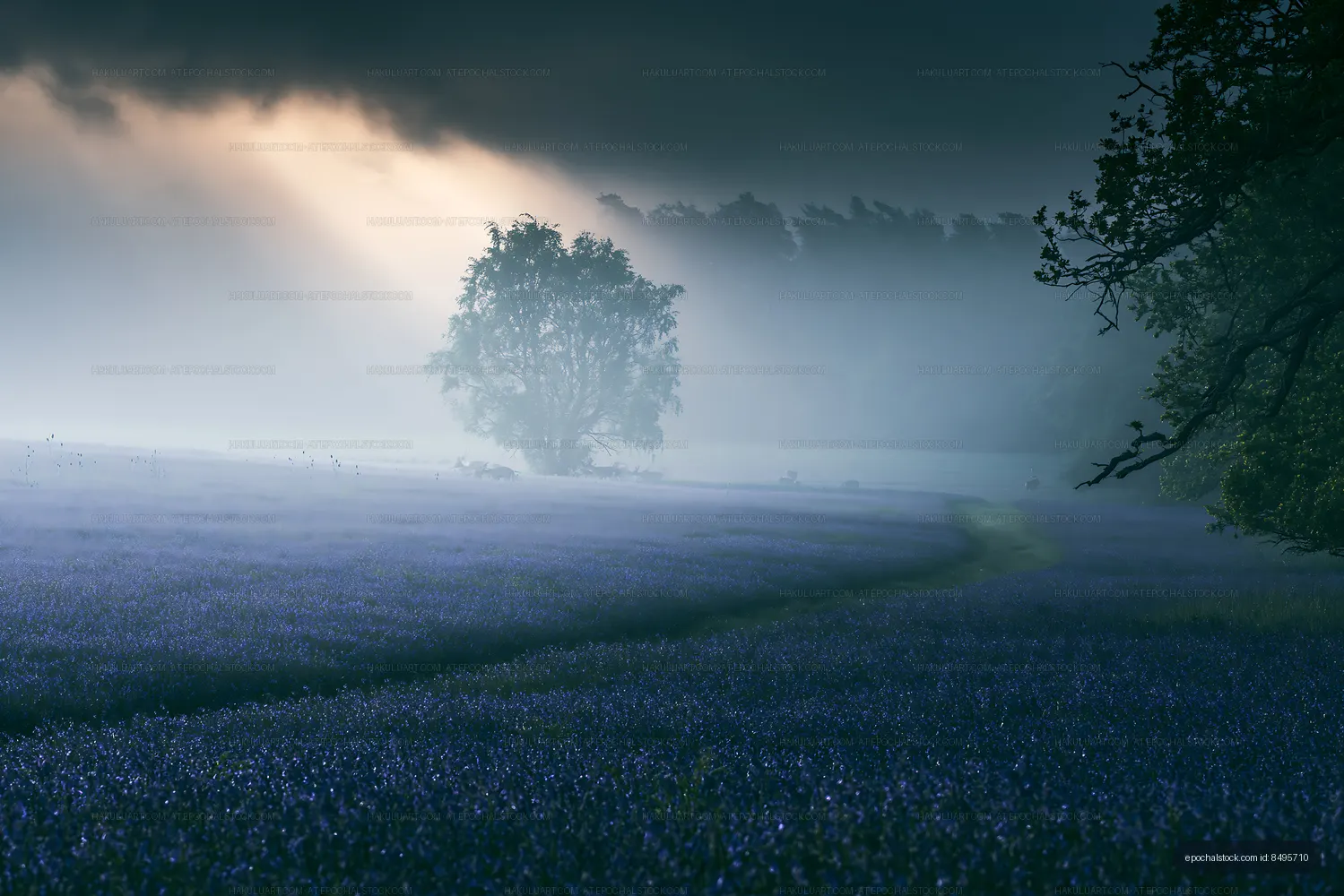 Misty landscape with blue flowers under soft light