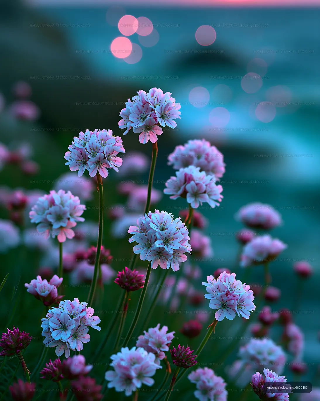Flowers blooming near the ocean during dusk