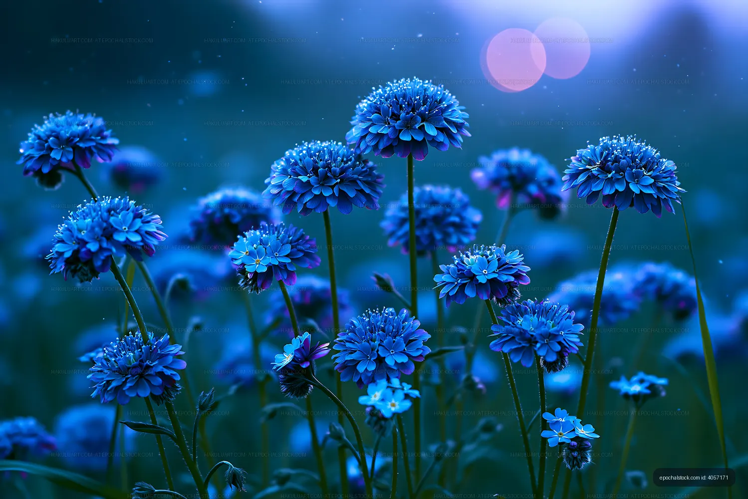 Blue flowers blooming in a field during twilight hours