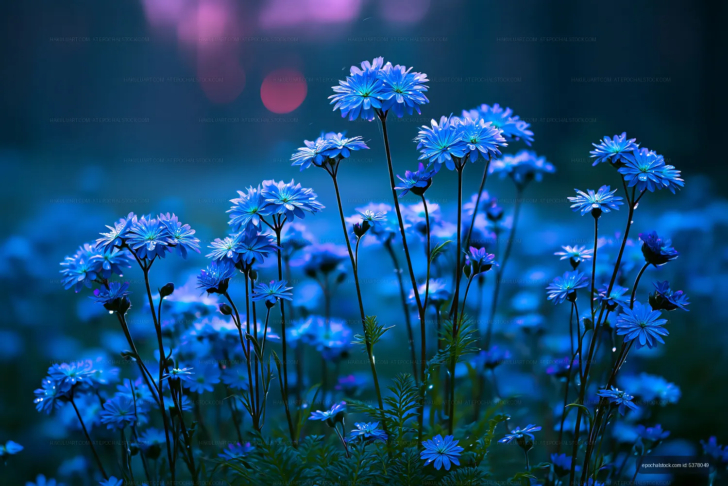 Blue flowers blooming in a garden at dusk