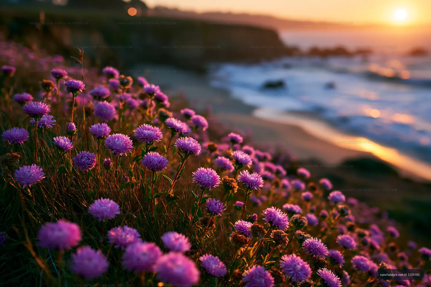 Violet flowers by the shore at sunset