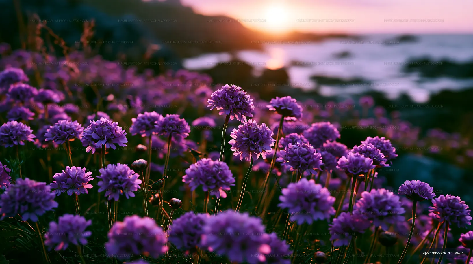 Bright purple flowers bloom by the ocean at sunset