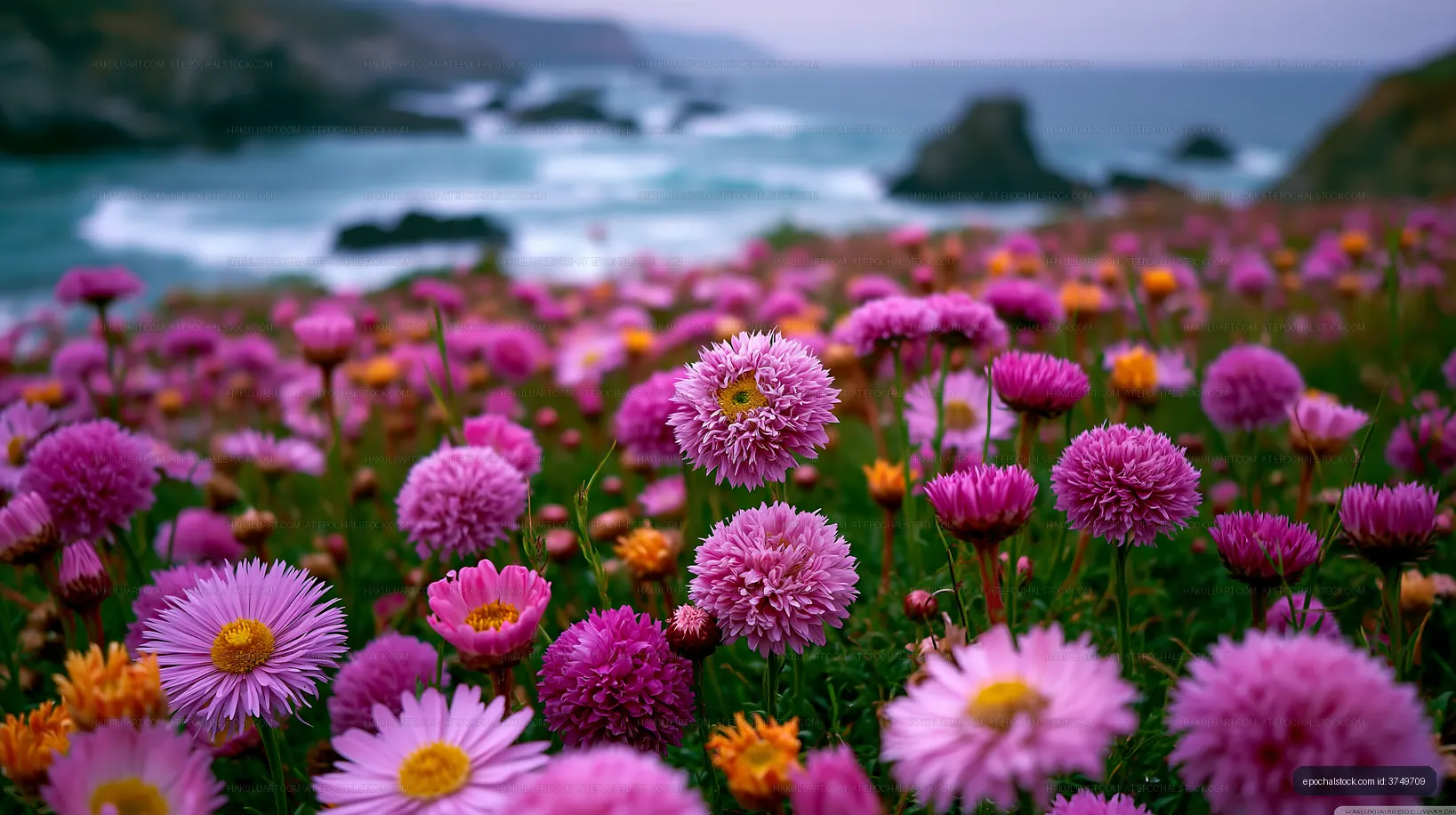 Vibrant flowers by the ocean at sunset