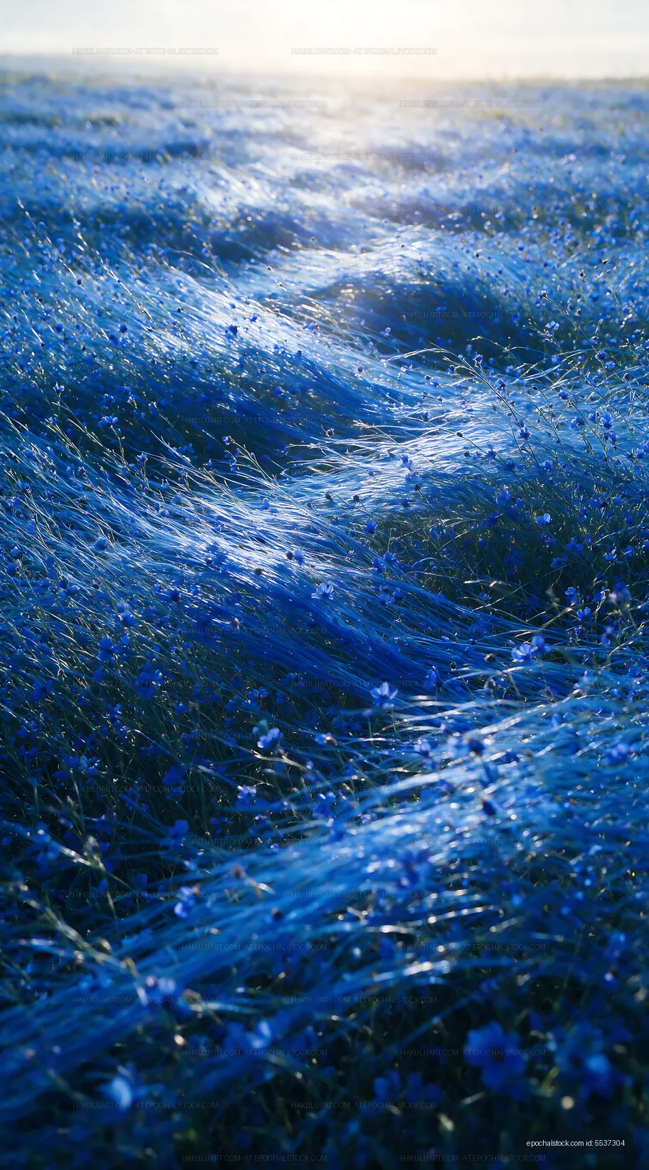 Field of blue flowers under soft sunlight