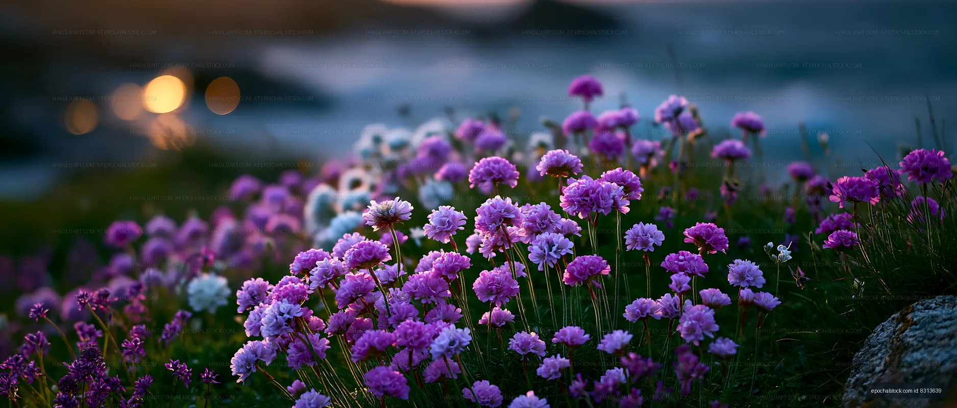 Colorful flowers blooming near the coast at sunset