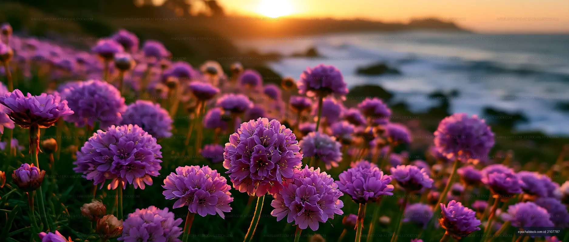 Purple flowers bloom near the shore during sunset