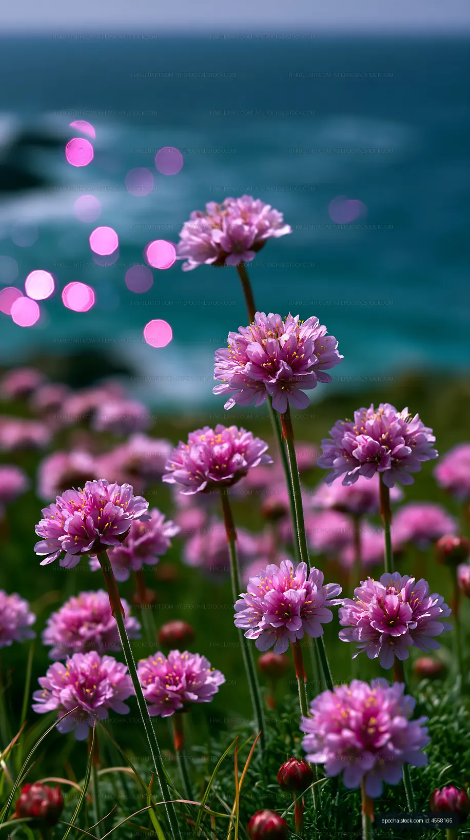 Flowers bloom near the ocean with sunlight reflecting on water