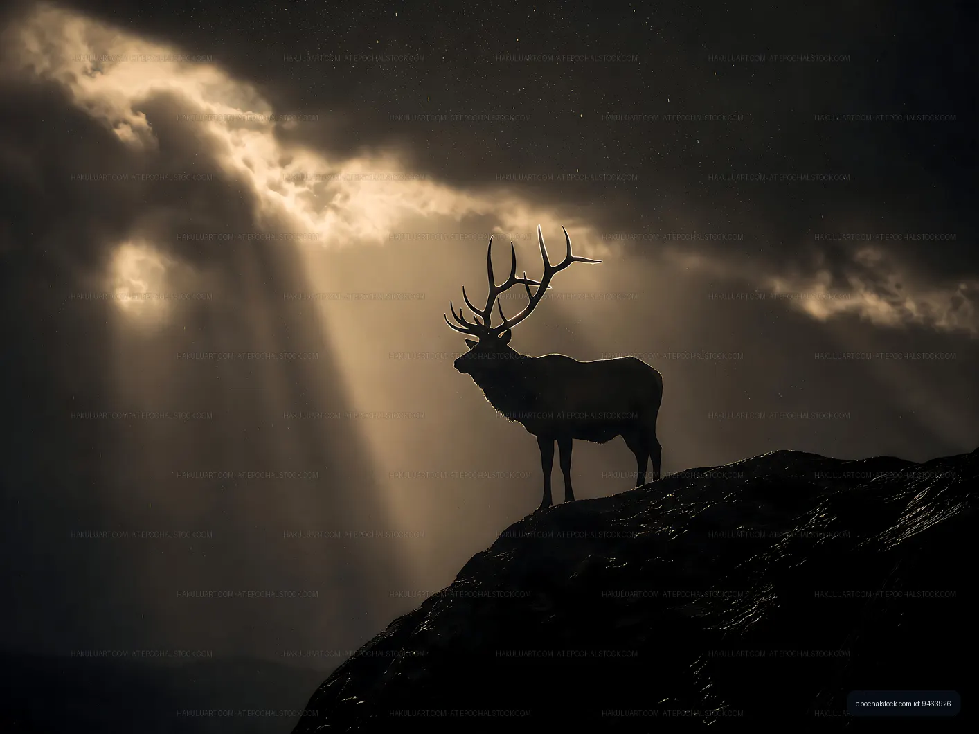 Silhouette of a stag on a rock with dramatic clouds