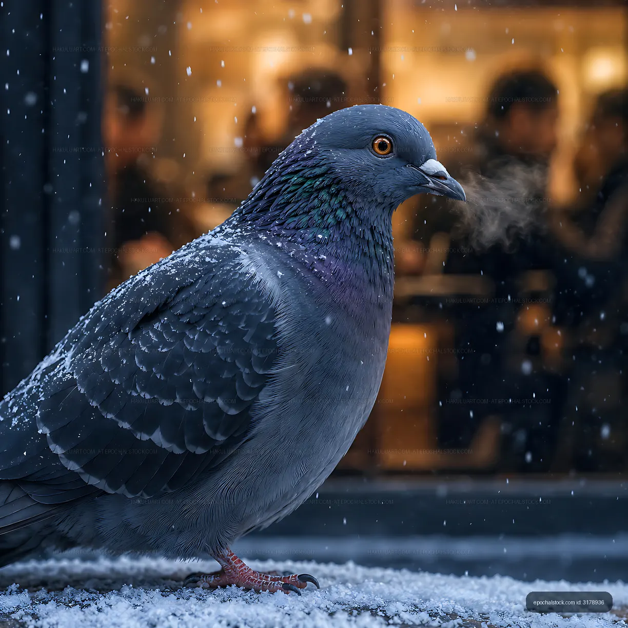 Pigeon standing in snow with mist from its beak in a café