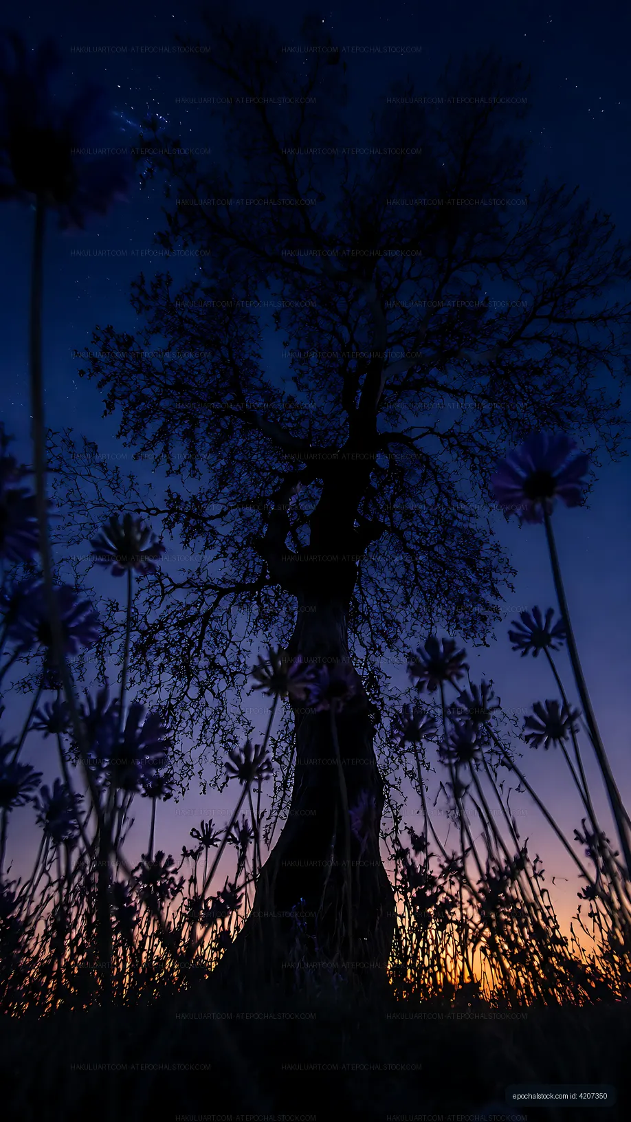 Silhouette of tree against night sky with wildflowers in foreground