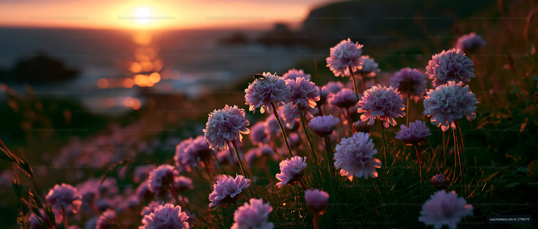 Flowers in foreground during sunset at the ocean
