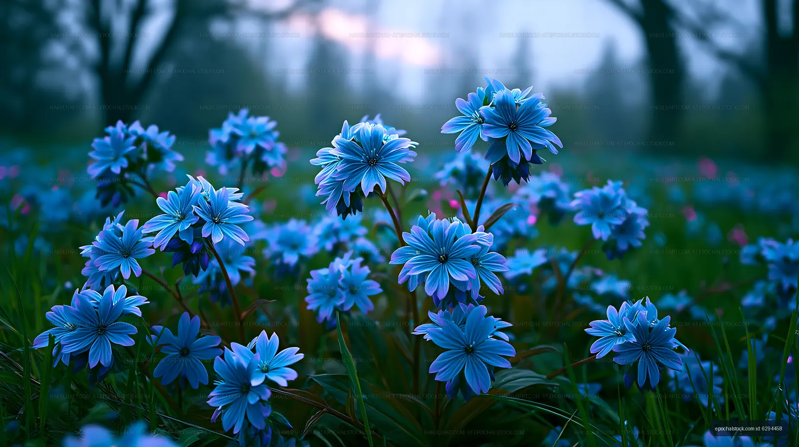 Blue flowers blooming in a green field during early evening light