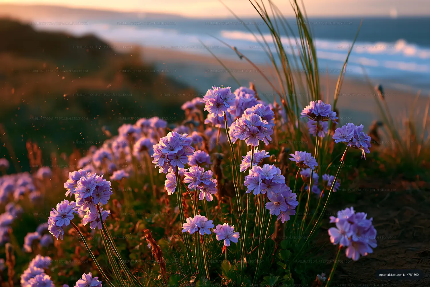 Purple flowers on a coastal cliff with waves in the background