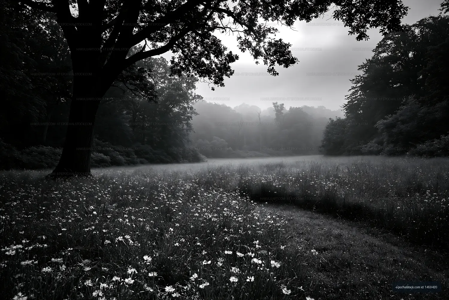 Morning fog envelops a meadow with trees in the background