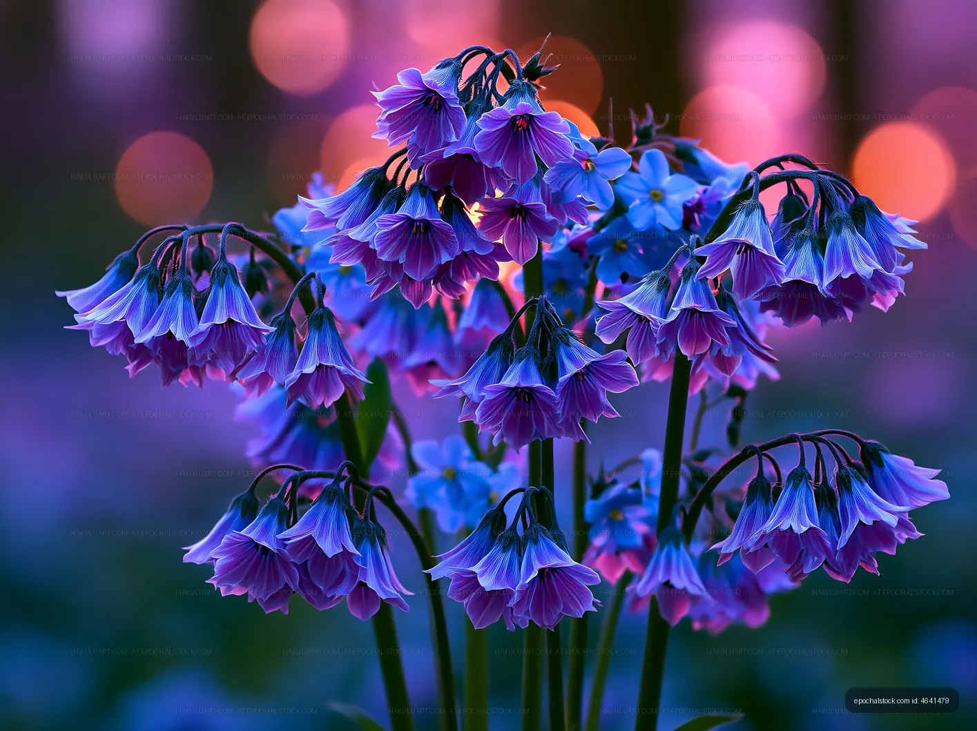Colorful flowers with purple hues and soft bokeh background