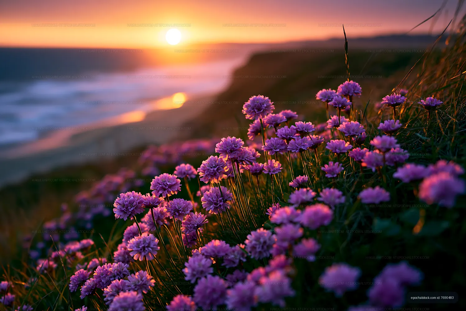 Sunset over flowers near the ocean shore