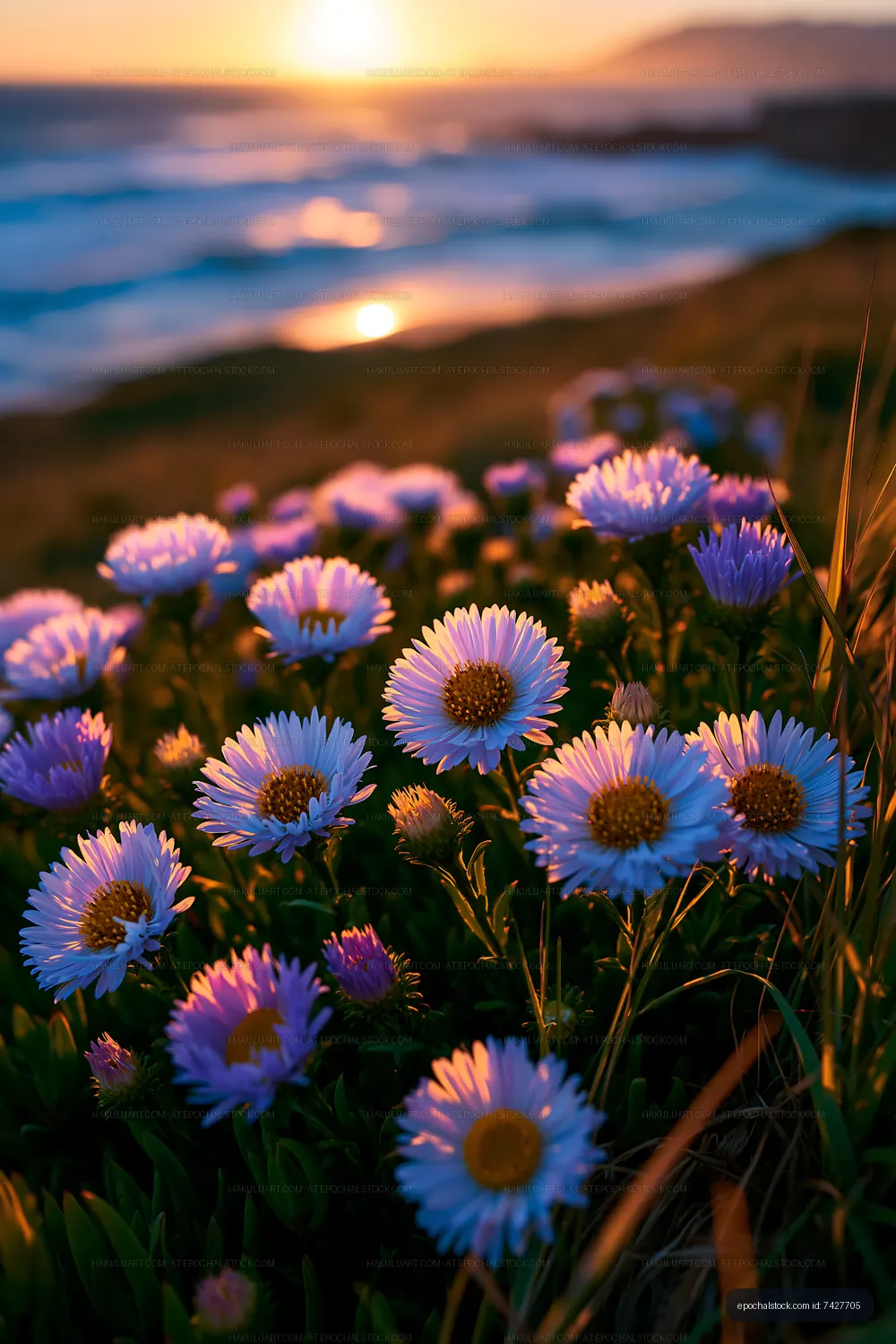 Flowers bloom near the ocean during sunset
