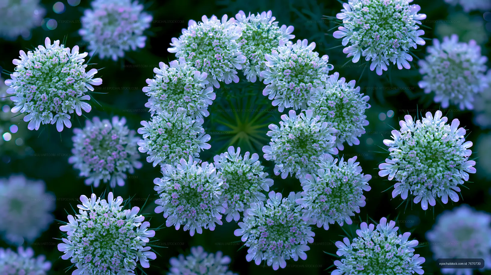 Floral arrangement with small white flowers in a garden