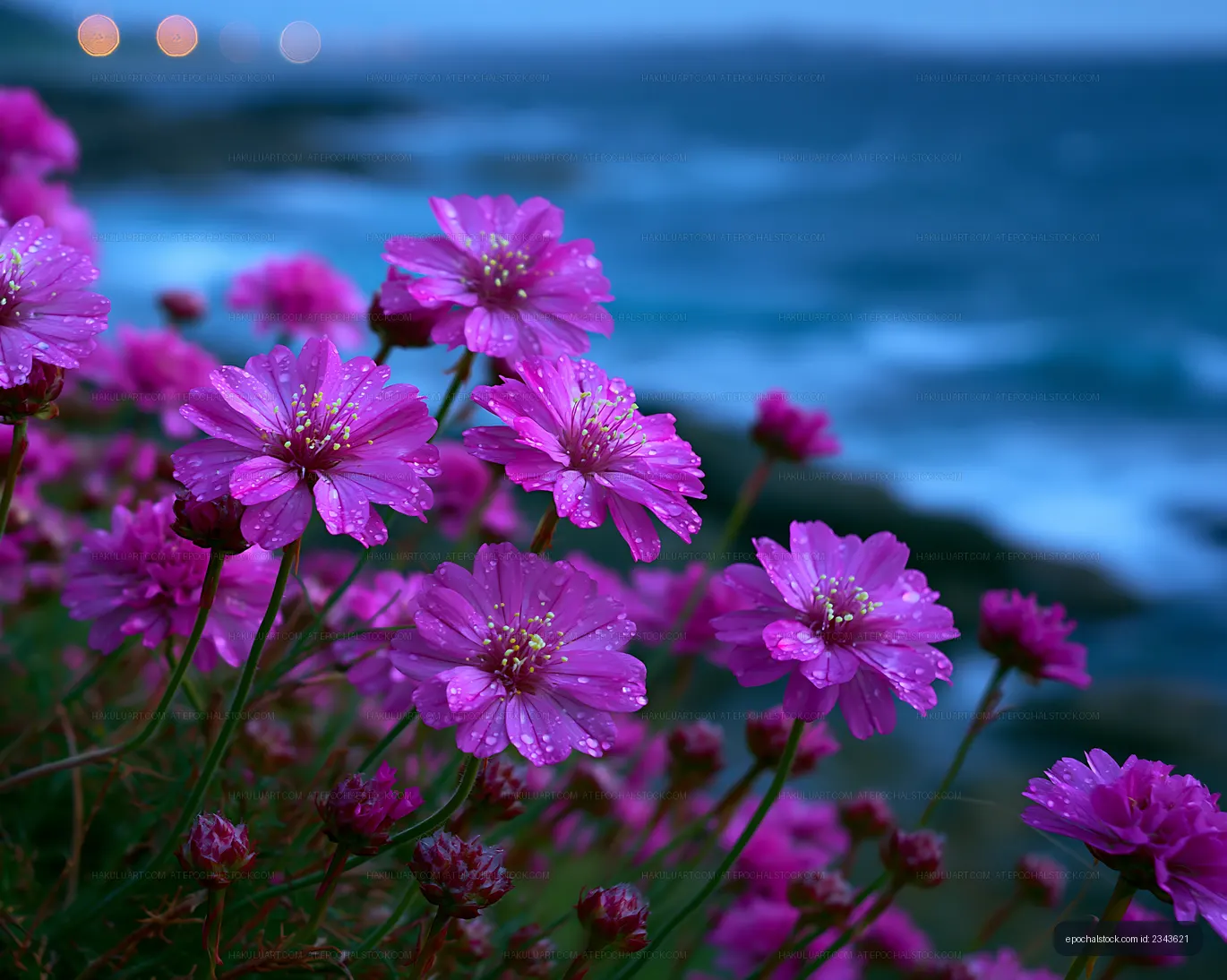Vibrant pink flowers by the coast at dusk