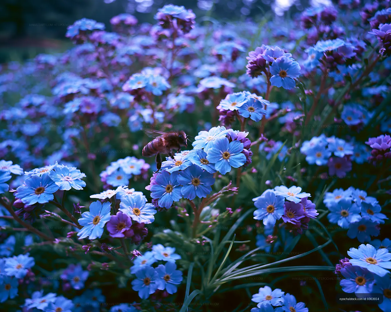 Bee collecting pollen from blue flowers in a garden