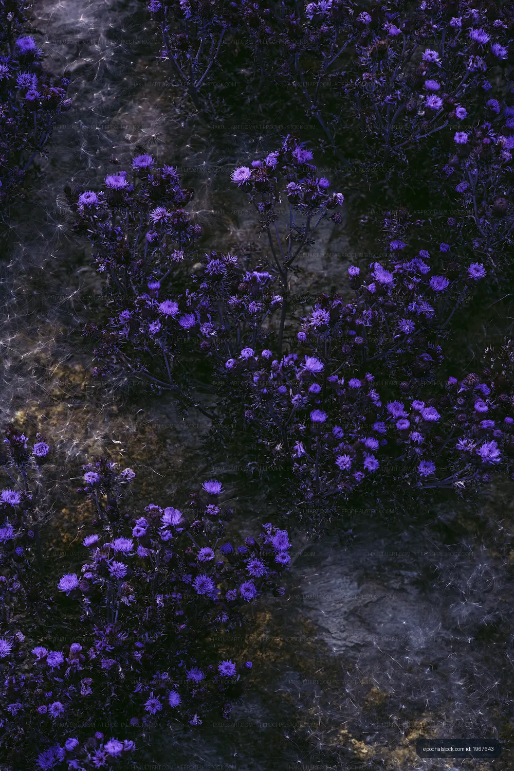 Purple flowers growing in a garden at dusk
