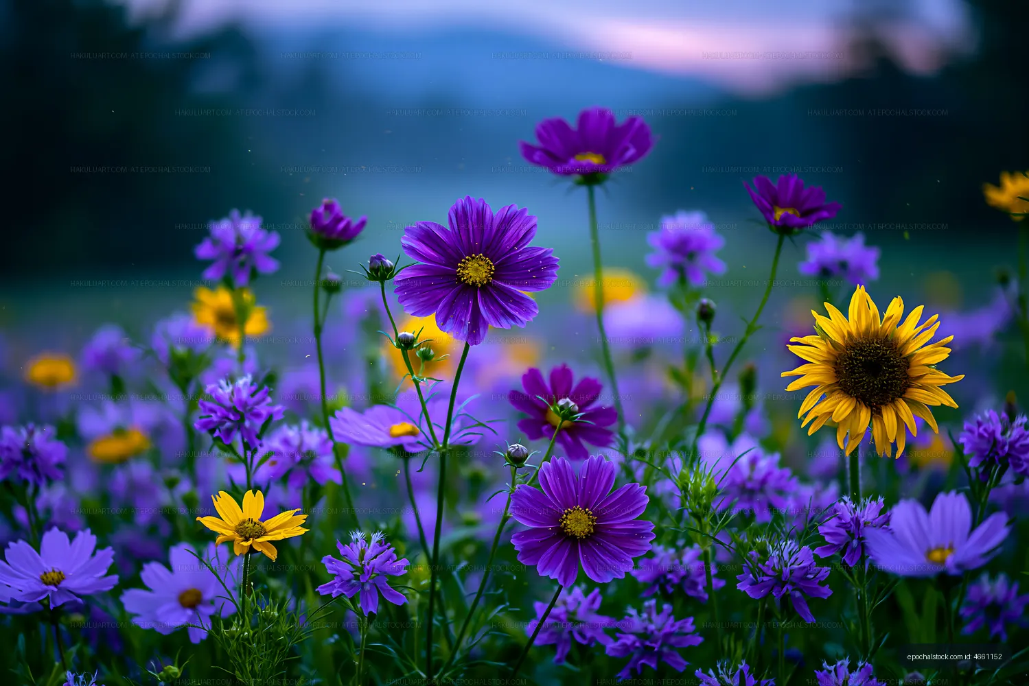 Colorful flowers in a field during sunset