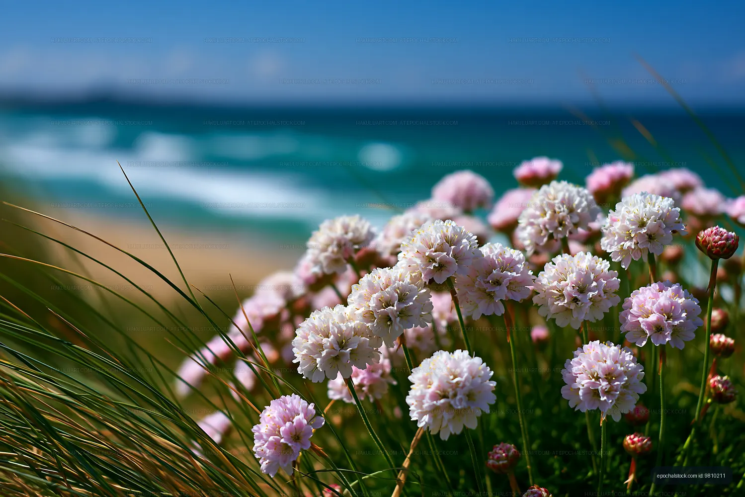 Flowers by the beach with waves in the background