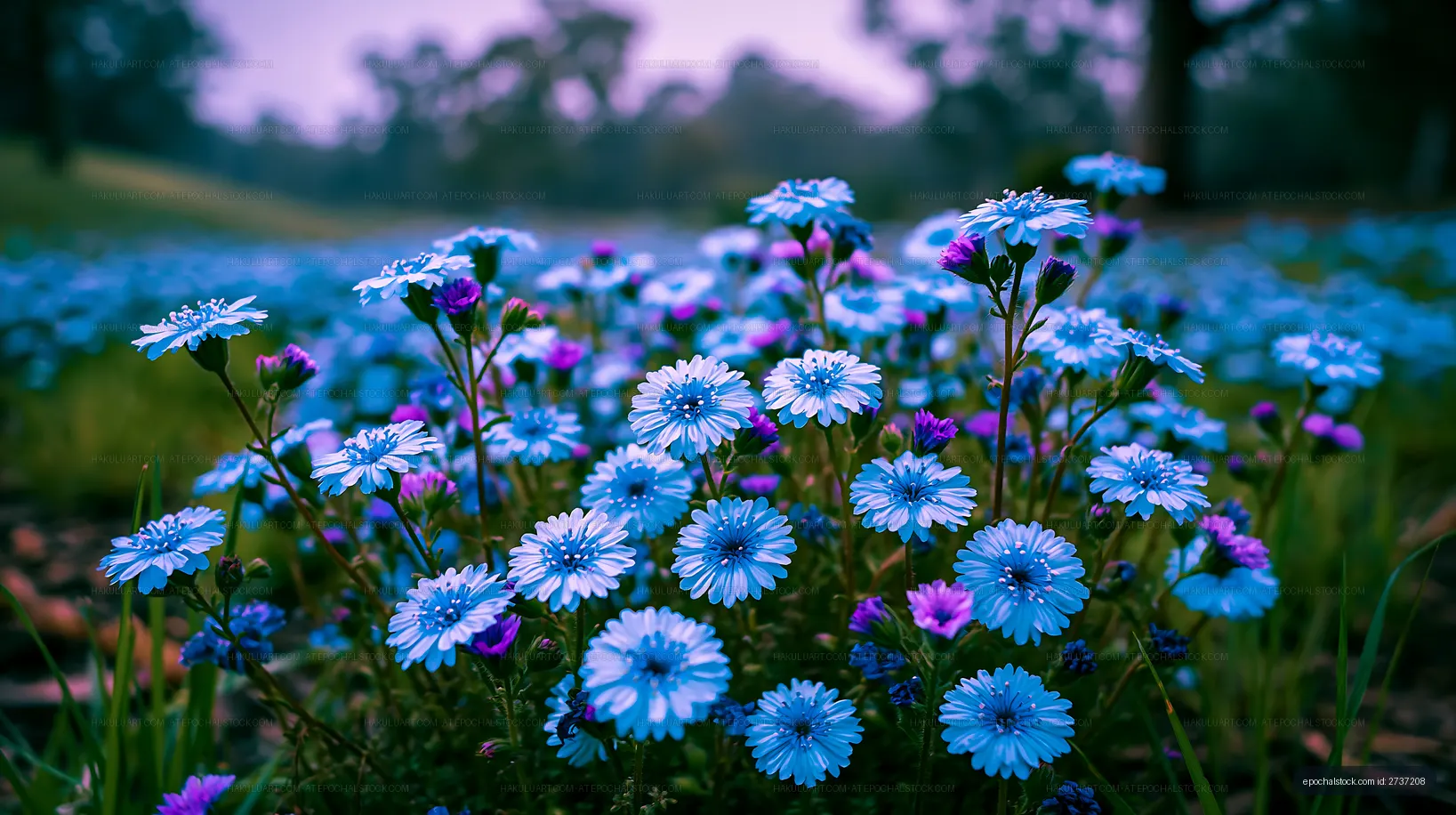 Blue wildflowers blooming in a grassy field during daytime