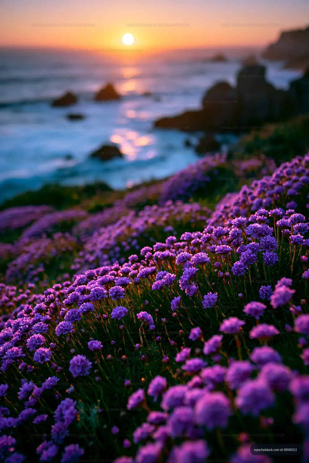 Colorful flowers at sunset by the ocean shore