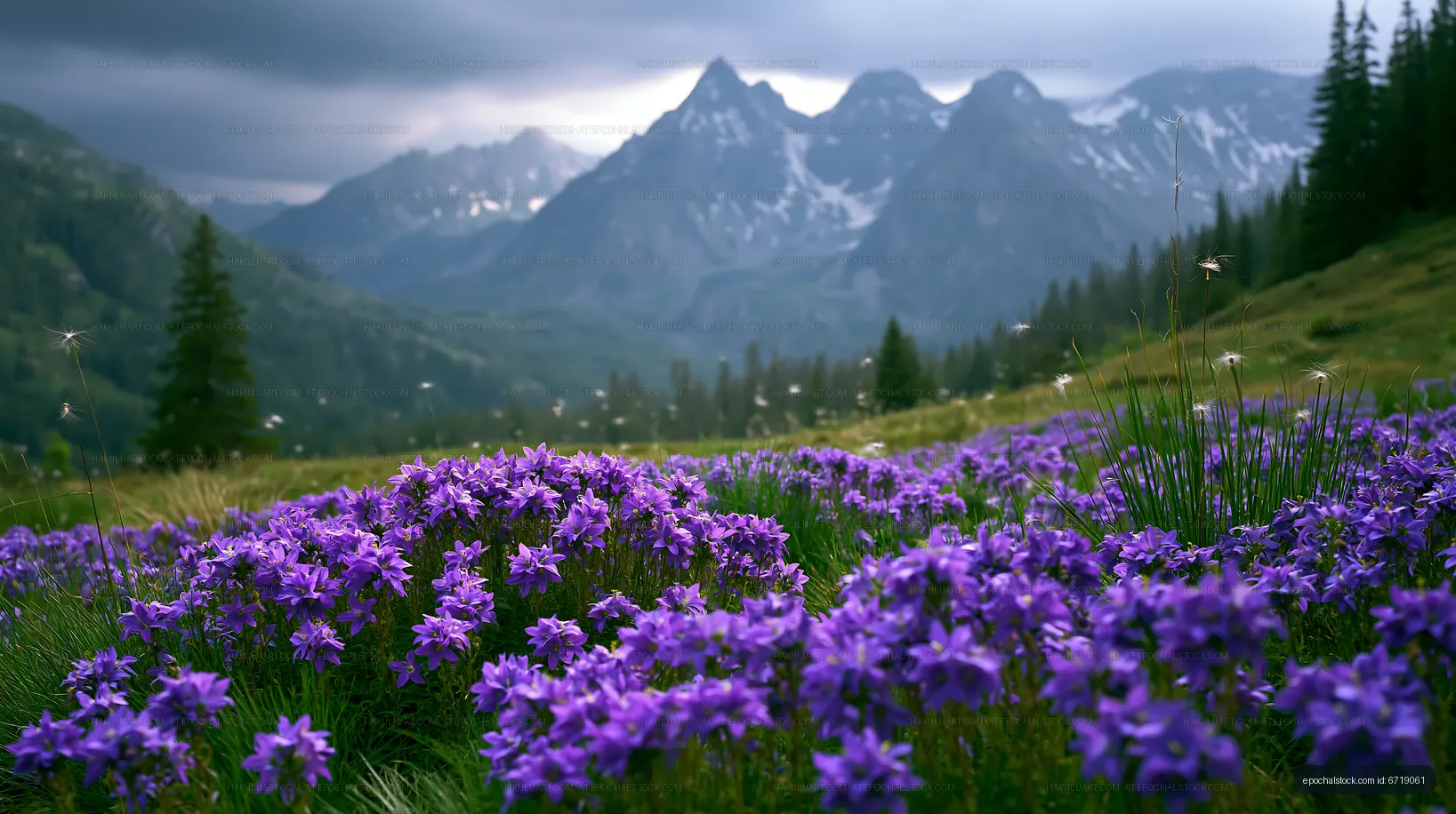 Mountain landscape with purple flowers under cloudy sky