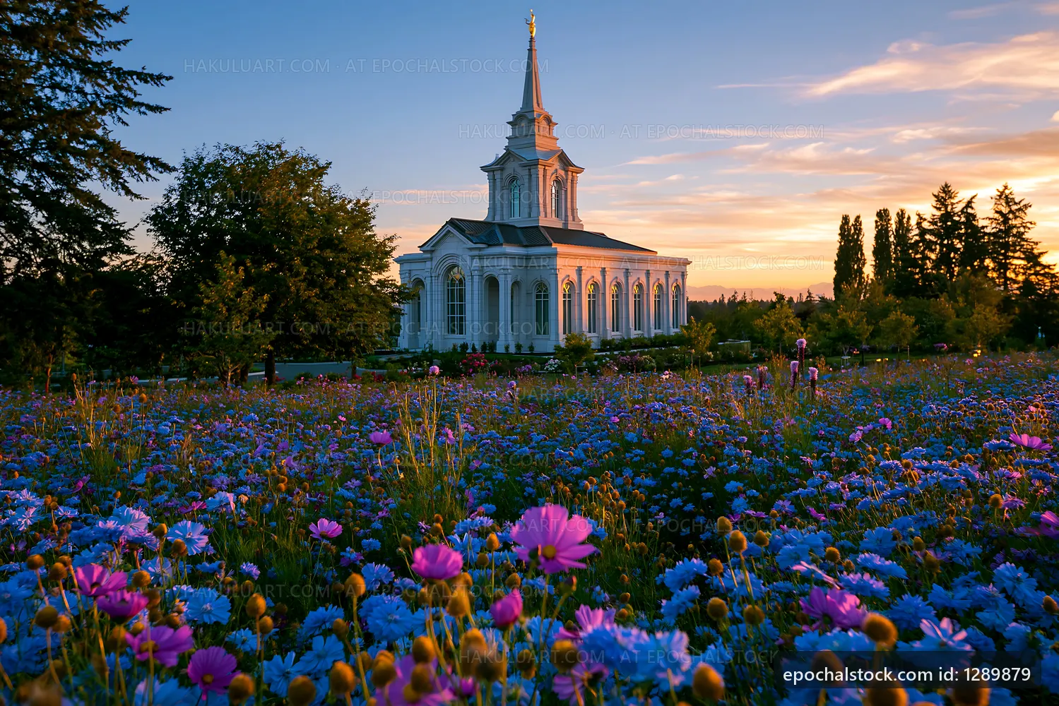 Colorful flowers bloom near church at sunset