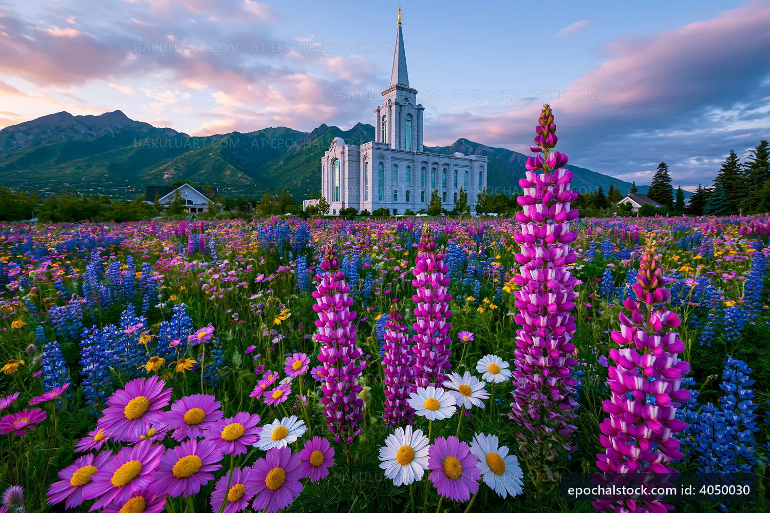 Colorful flowers bloom in front of a church in the mountains