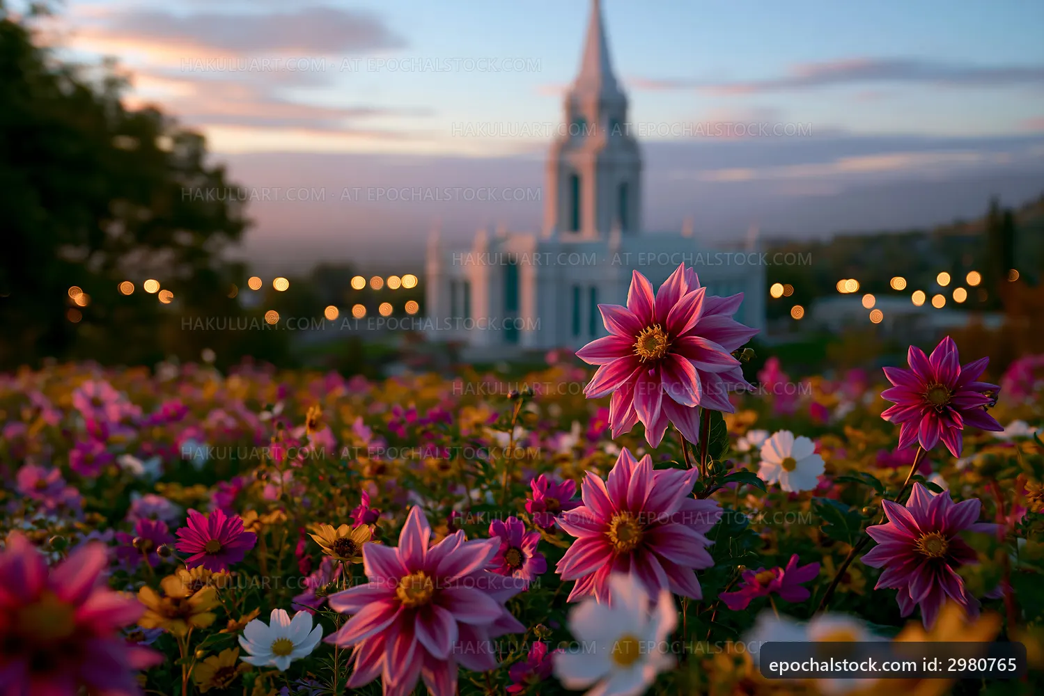 Flowers bloom in a garden with a church in the background