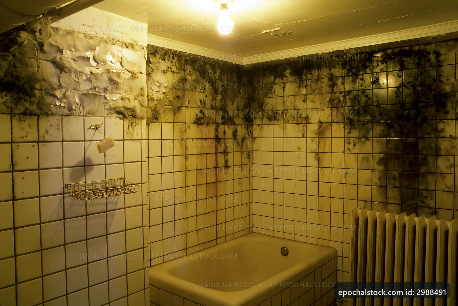Mold growth in a bathroom with tiles and light fixture