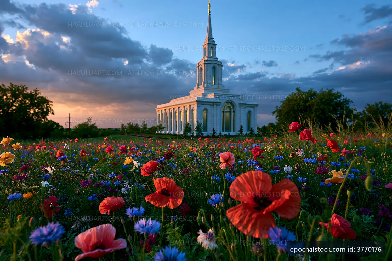 Colorful flowers around a church at sunset