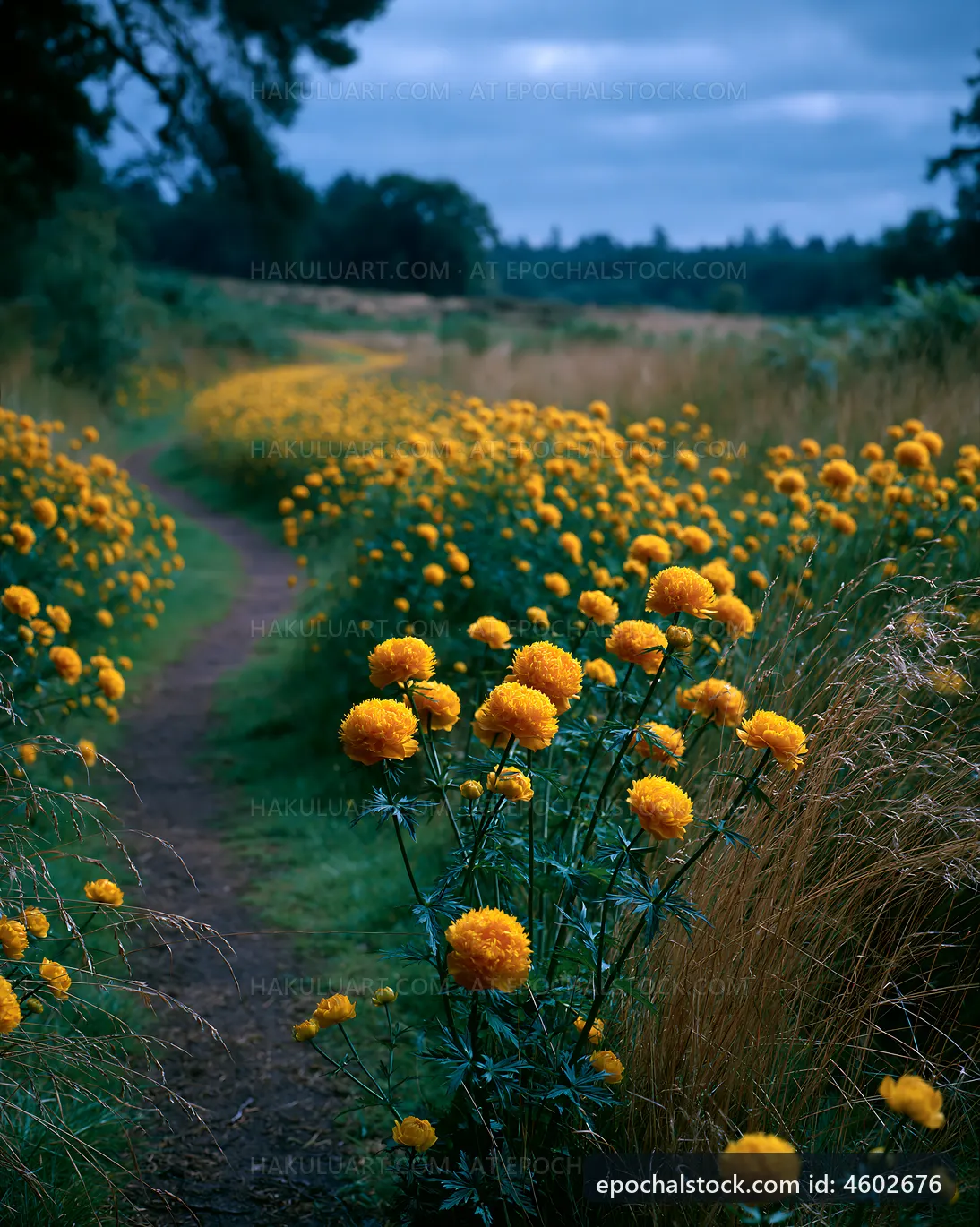 Pathway lined with yellow flowers during cloudy weather