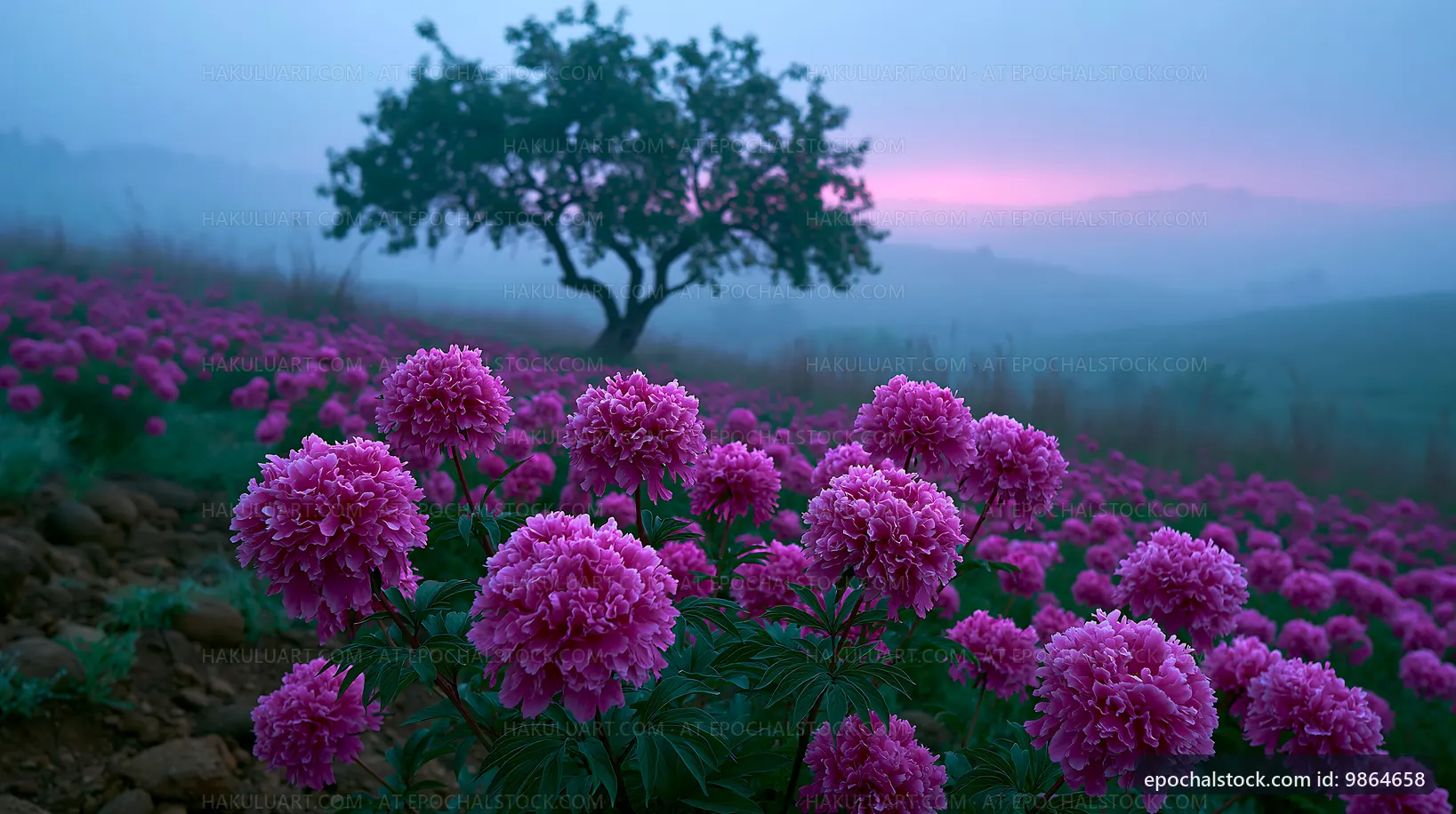 Purple flowers in the morning mist with a lone tree
