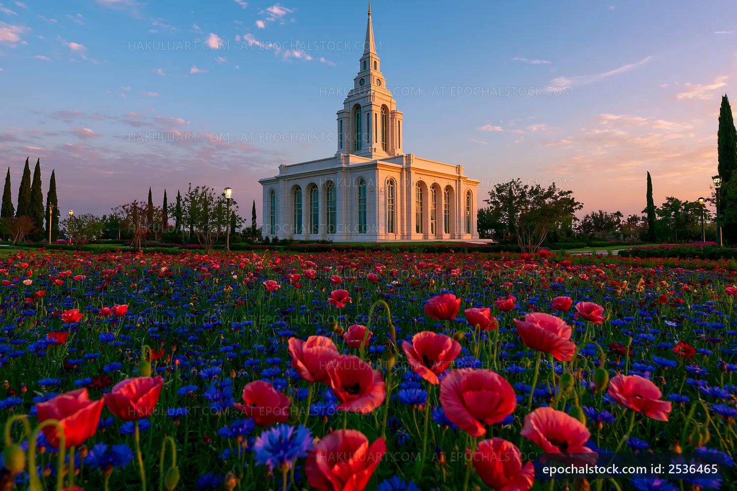 Flowers in bloom near a building at sunset