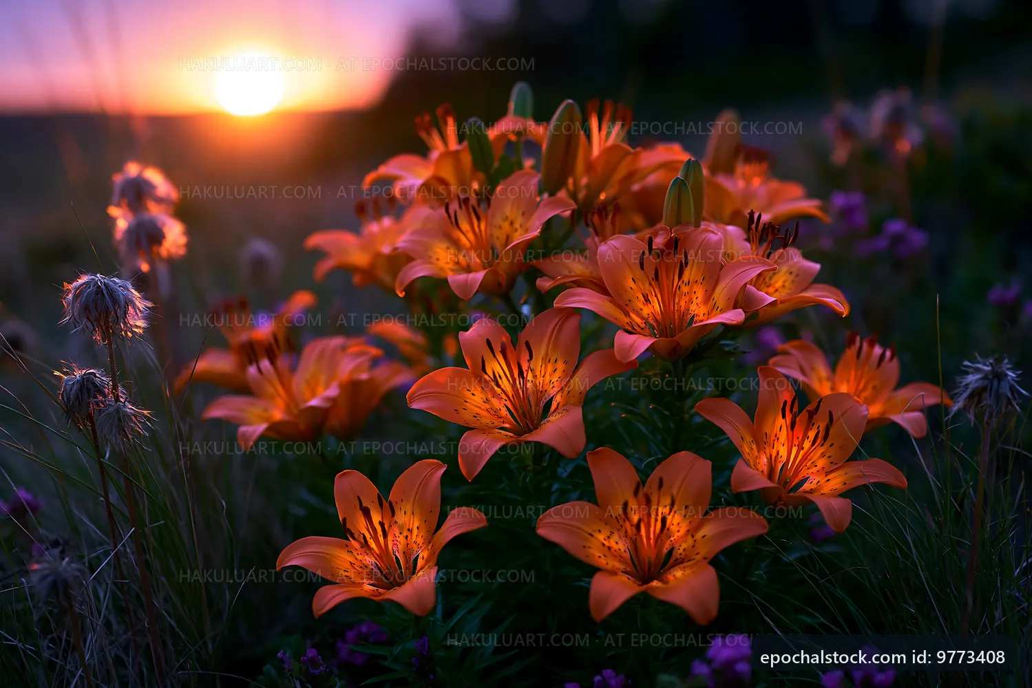 Bright orange lilies bloom under the sunset sky