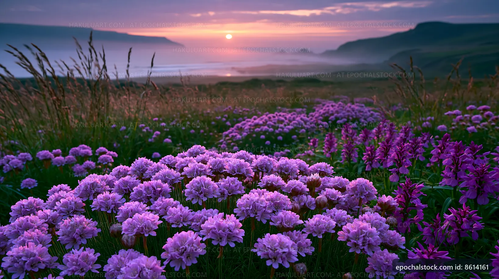 Vibrant flowers at sunset in a scenic landscape