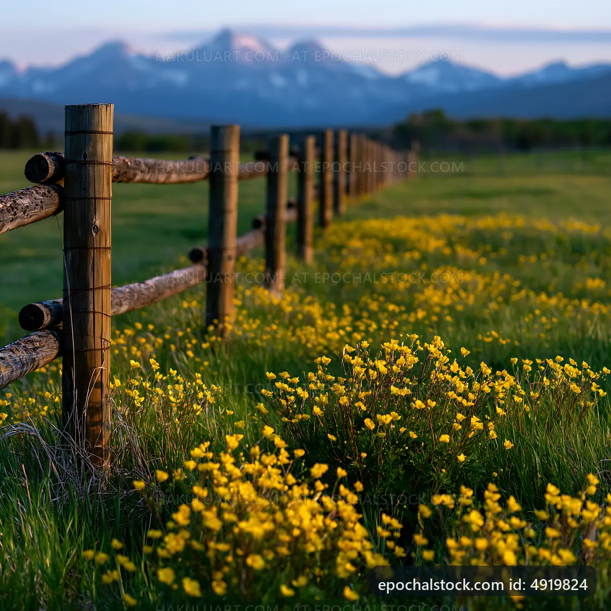 Fenced field with wildflowers and mountains in the background