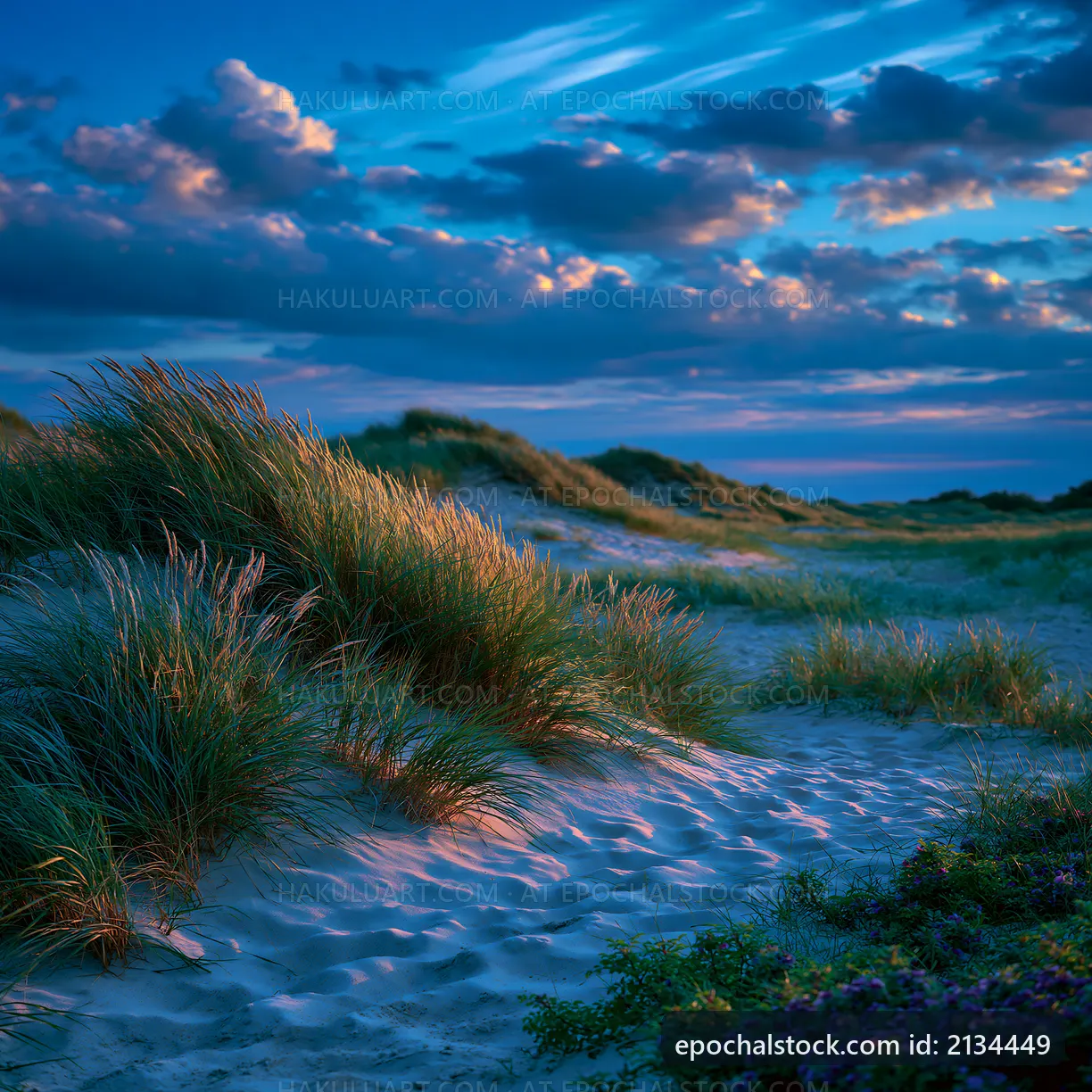 Dune grass under a colorful sky at twilight