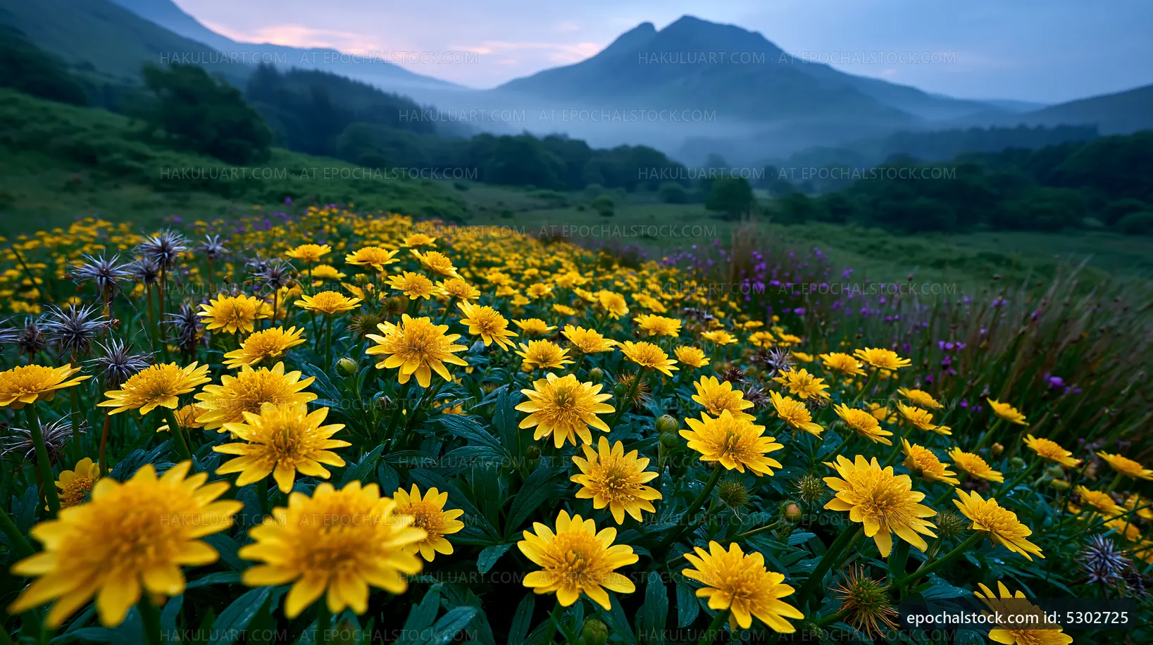 Yellow flowers in a meadow with mountains in the background
