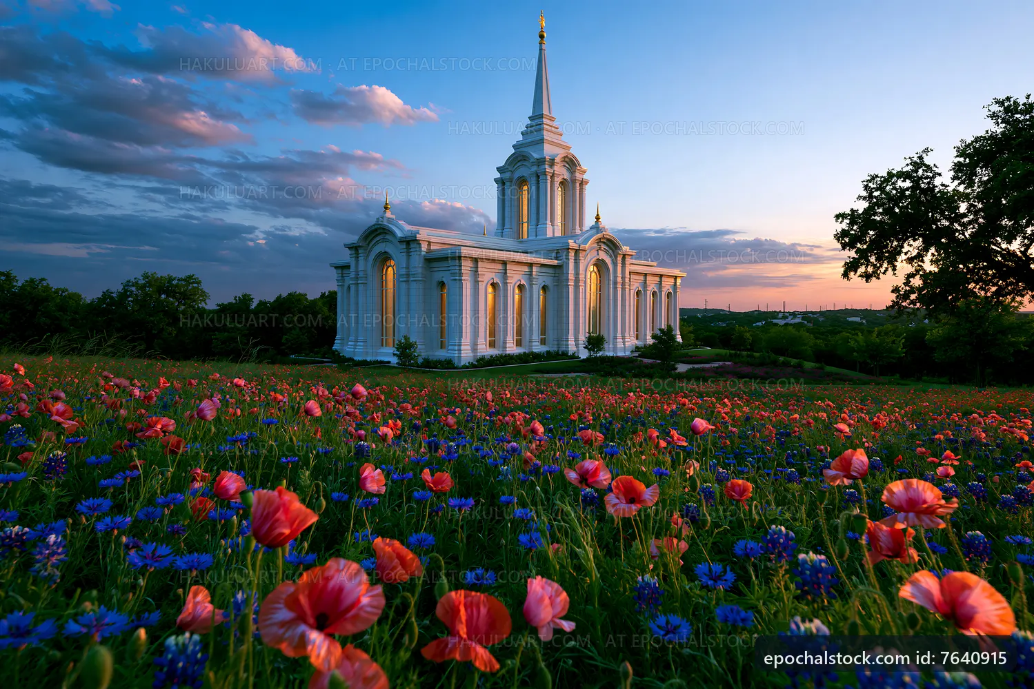 Colorful flowers in front of a white church at sunset