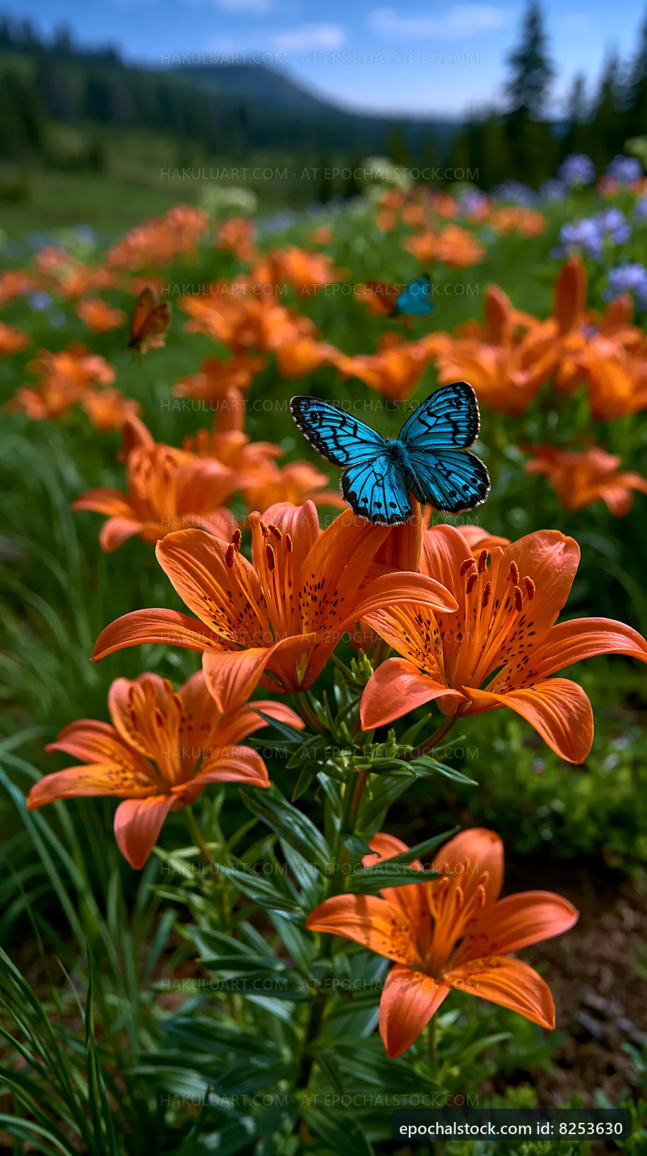 Butterfly resting on orange flowers in a lush field