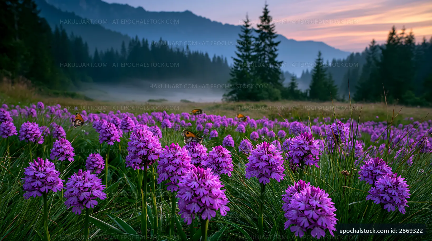 Vibrant purple flowers in a misty mountain meadow at dawn